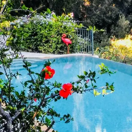 Armonia Villa